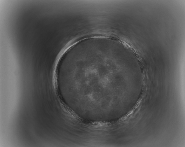 X0000115370343200911101250