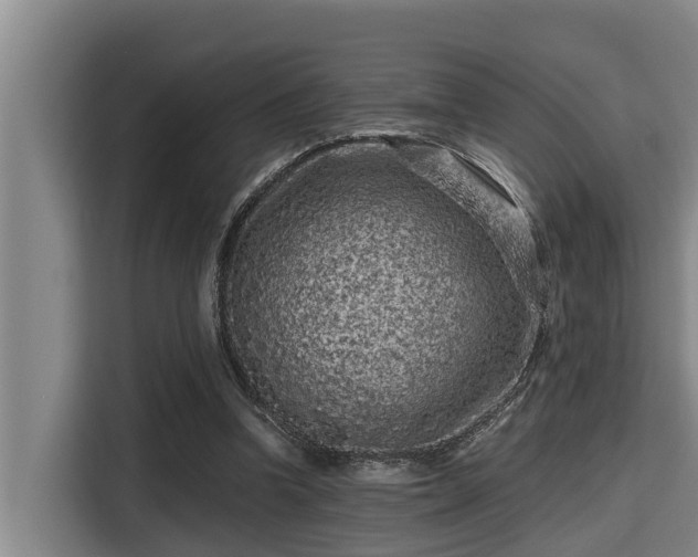 X0000115370346200911101251