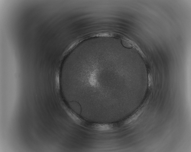 X0000115370349200911101251