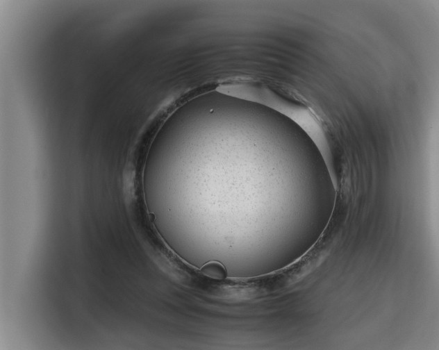 X0000115370351200911101251