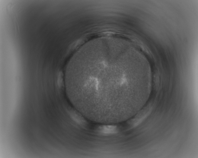 X0000115370361200911101251