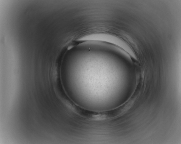 X0000115370362200911101251