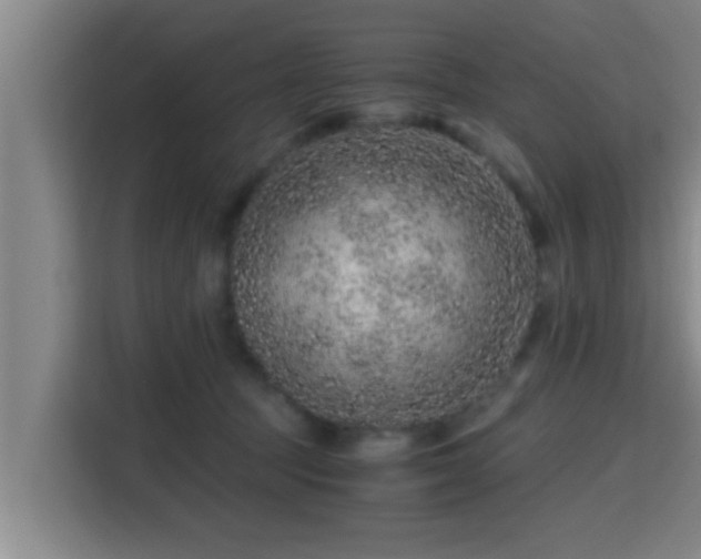 X0000115370369200911101251