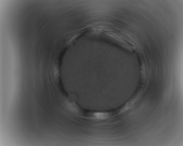 X0000115370371200911101251