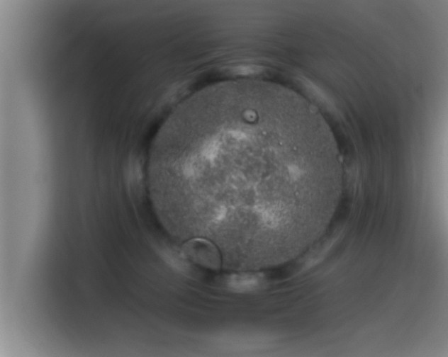X0000115370373200911101251