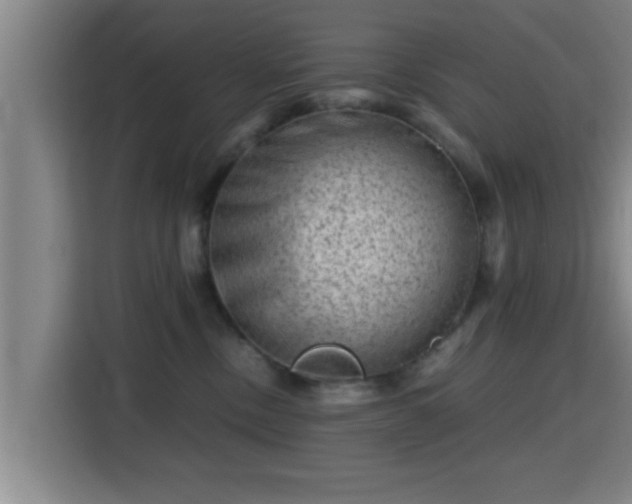 X0000115370378200911101251
