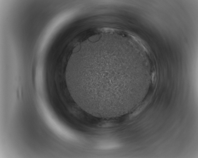 X0000115370381200911101251