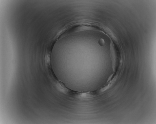 X0000115370382200911101251