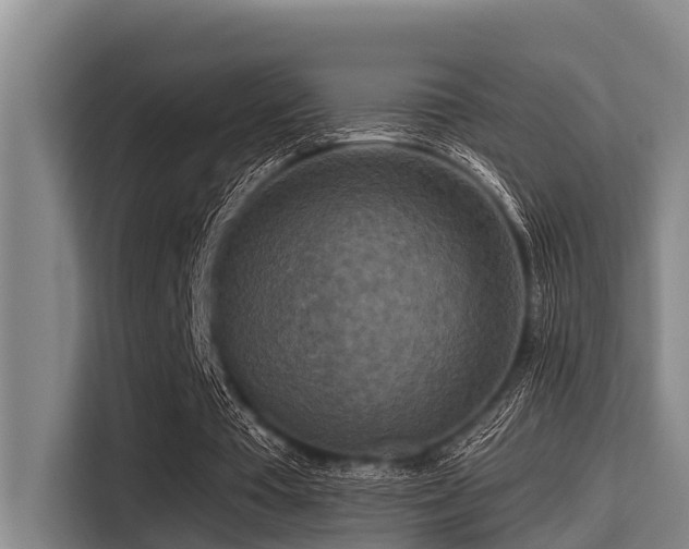 X0000115370385200911101250