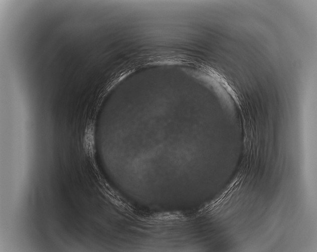 X0000115370386200911101250