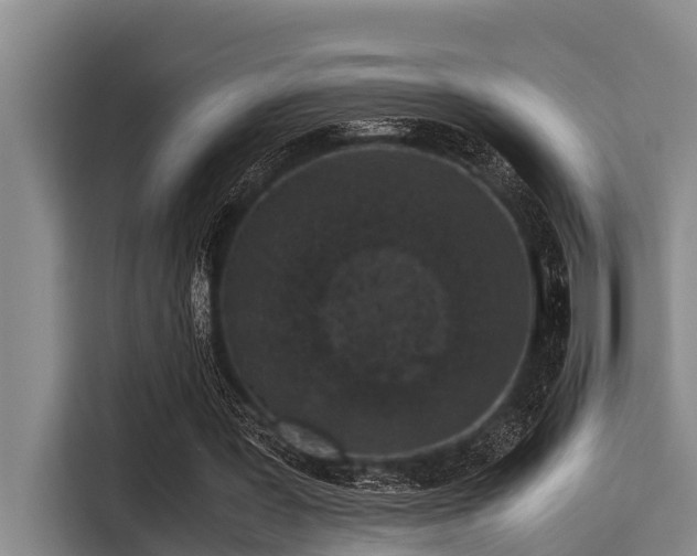 X0000115370387200911101250
