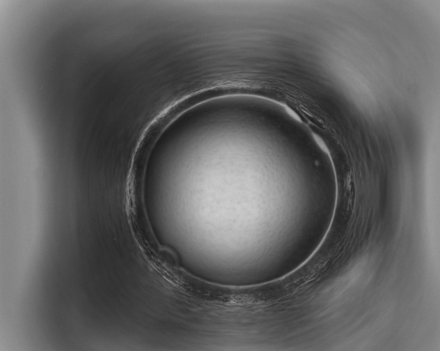 X0000115370388200911101250