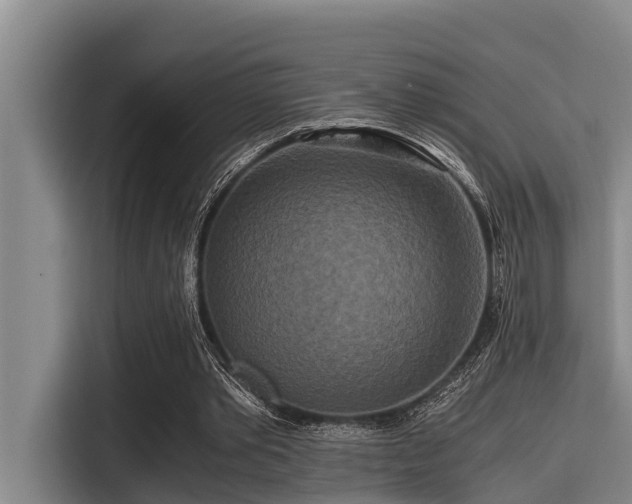 X0000115370389200911101250