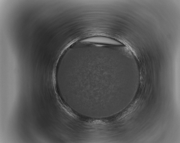 X0000115370390200911101250