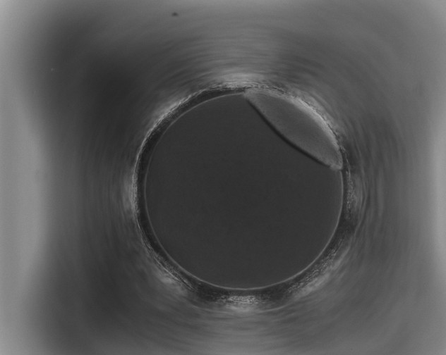 X0000115370391200911101250