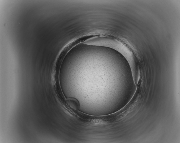 X0000115370392200911101250