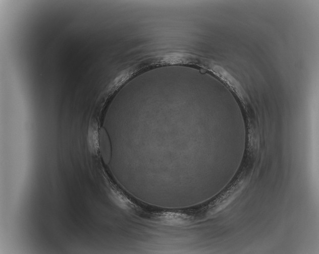 X0000115370393200911101250