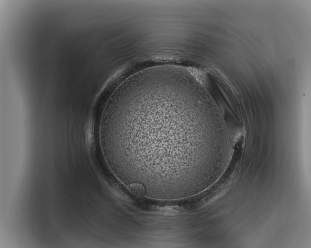 X0000115370396200911101250