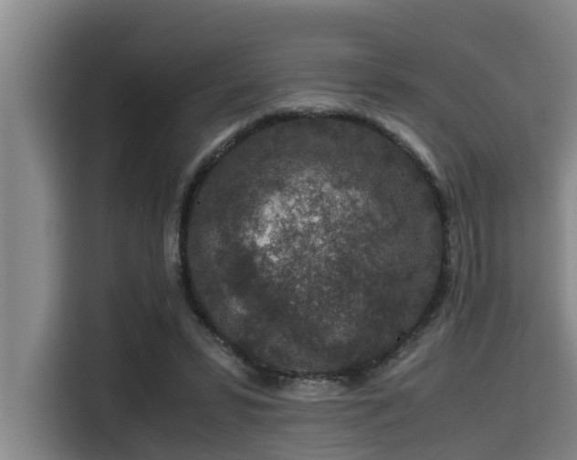 X0000115370399200911101250