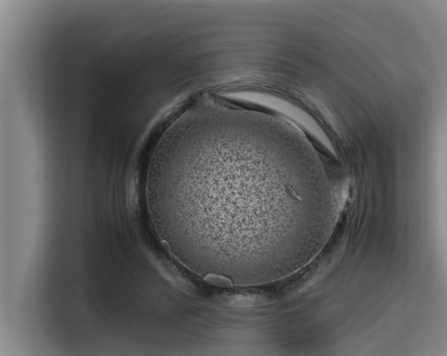 X0000115370400200911101250