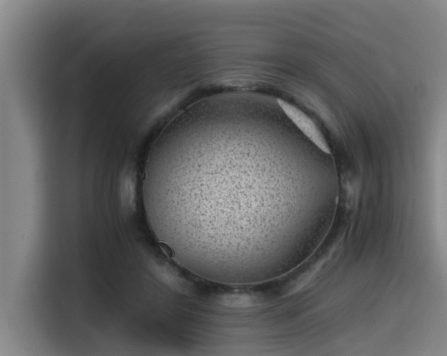 X0000115370404200911101250