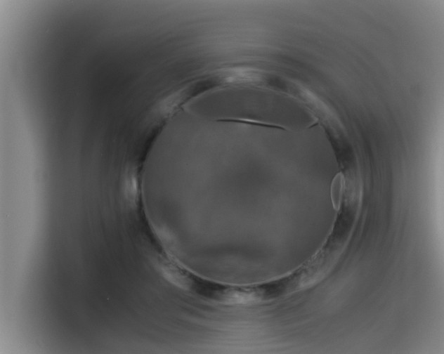 X0000115370405200911101250