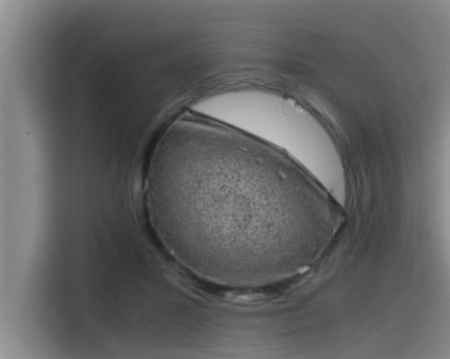 X0000115370407200911101250