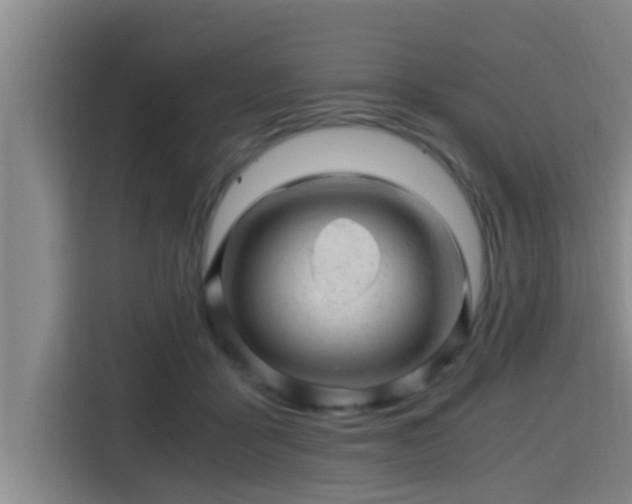 X0000115370411200911101250