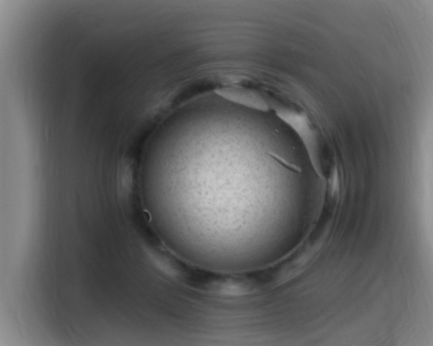 X0000115370412200911101250