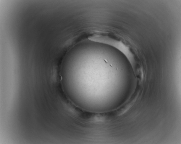 X0000115370416200911101250
