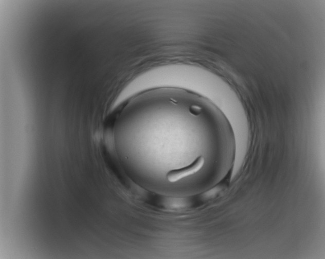 X0000115370417200911101250