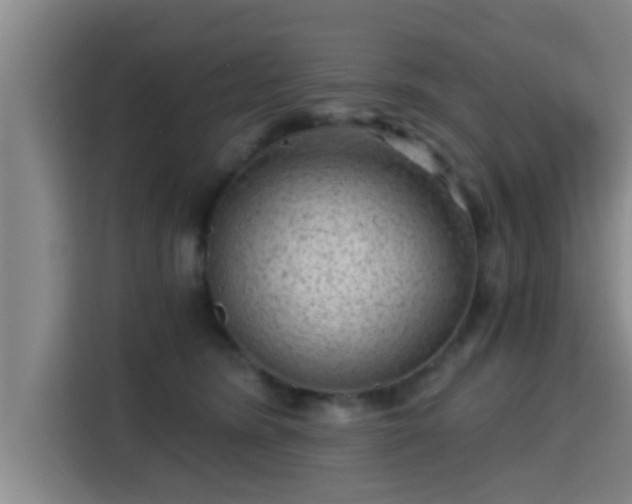 X0000115370420200911101250