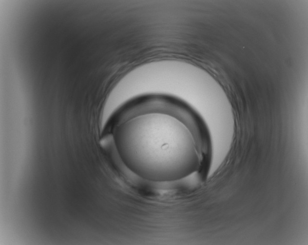 X0000115370423200911101250