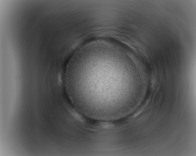 X0000115370424200911101250