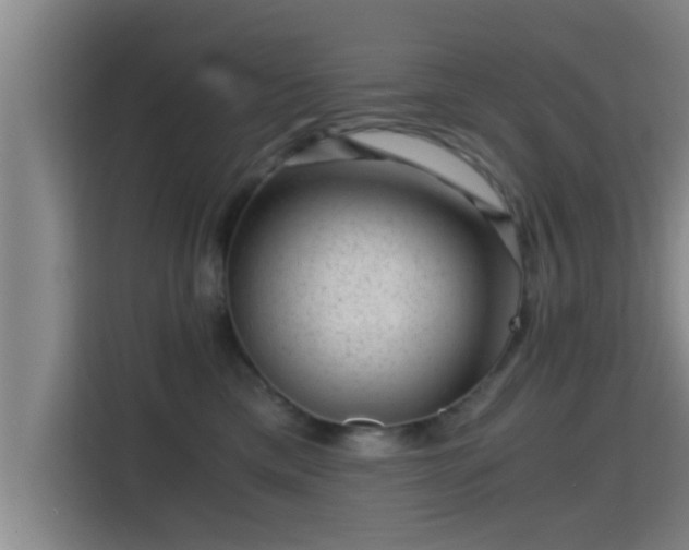 X0000115370425200911101250