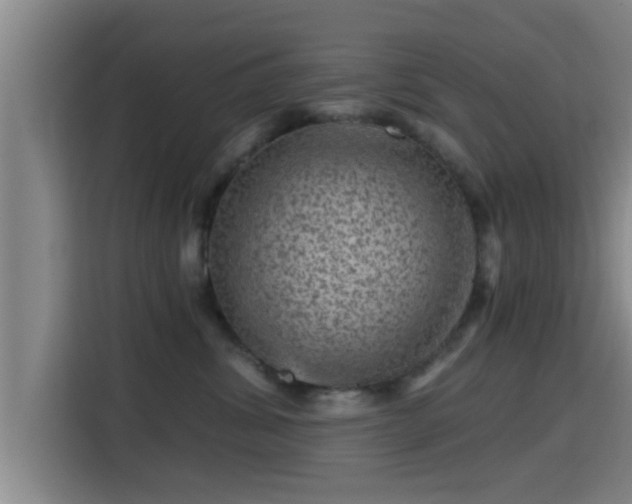 X0000115370428200911101250