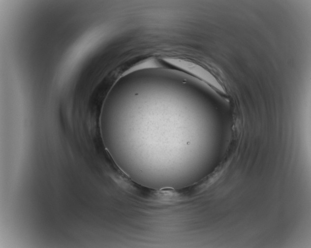 X0000115370429200911101250