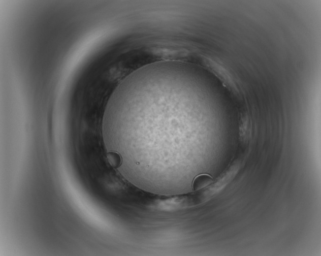 X0000115370430200911101250