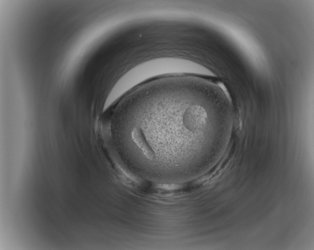X0000115370431200911101250