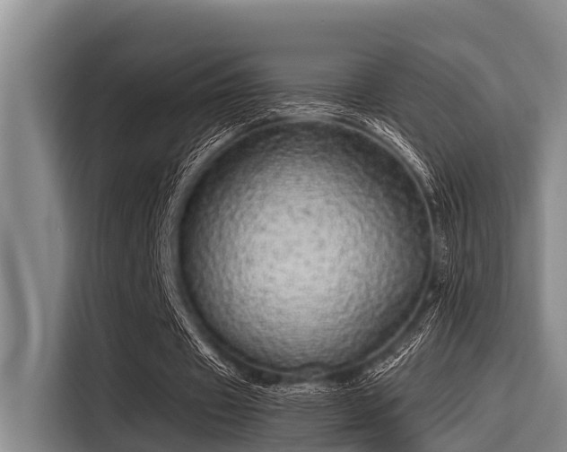 X0000115370433200911101249
