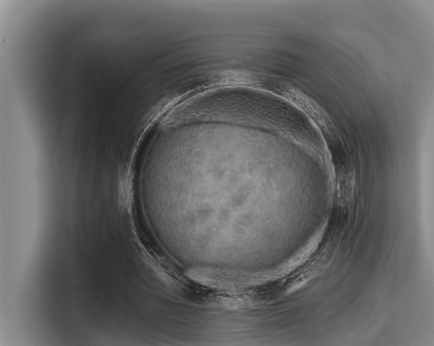 X0000115370436200911101249