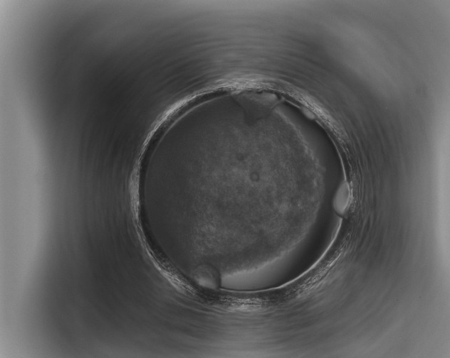 X0000115370438200911101249