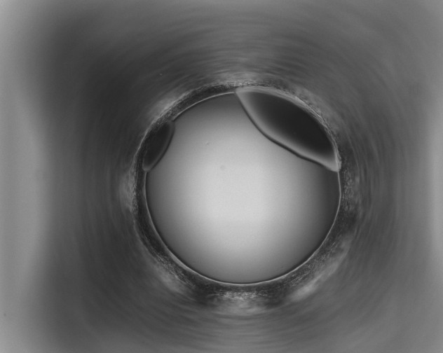 X0000115370440200911101249