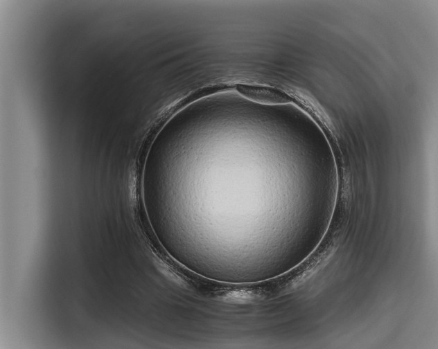 X0000115370441200911101249
