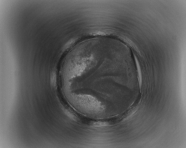 X0000115370444200911101249