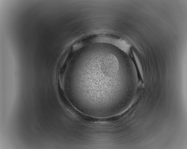 X0000115370448200911101249