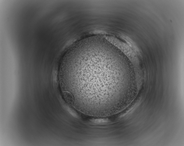 X0000115370449200911101249