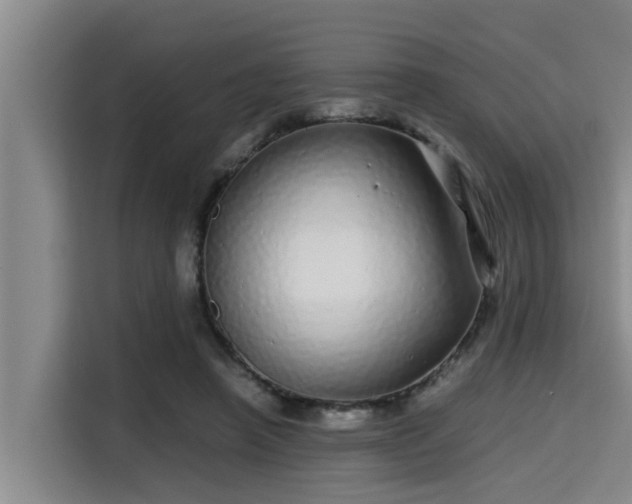 X0000115370450200911101249