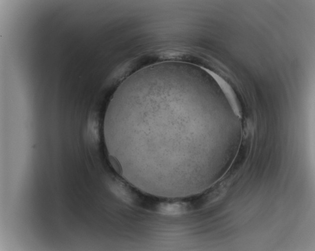 X0000115370452200911101249