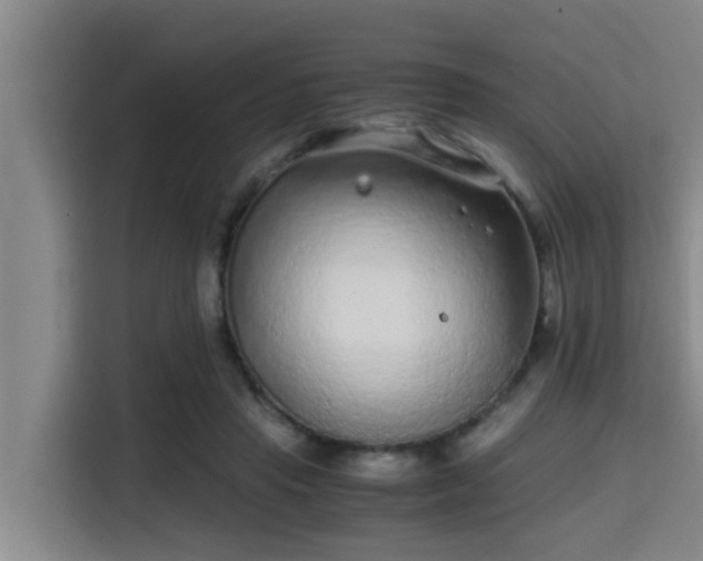 X0000115370453200911101249